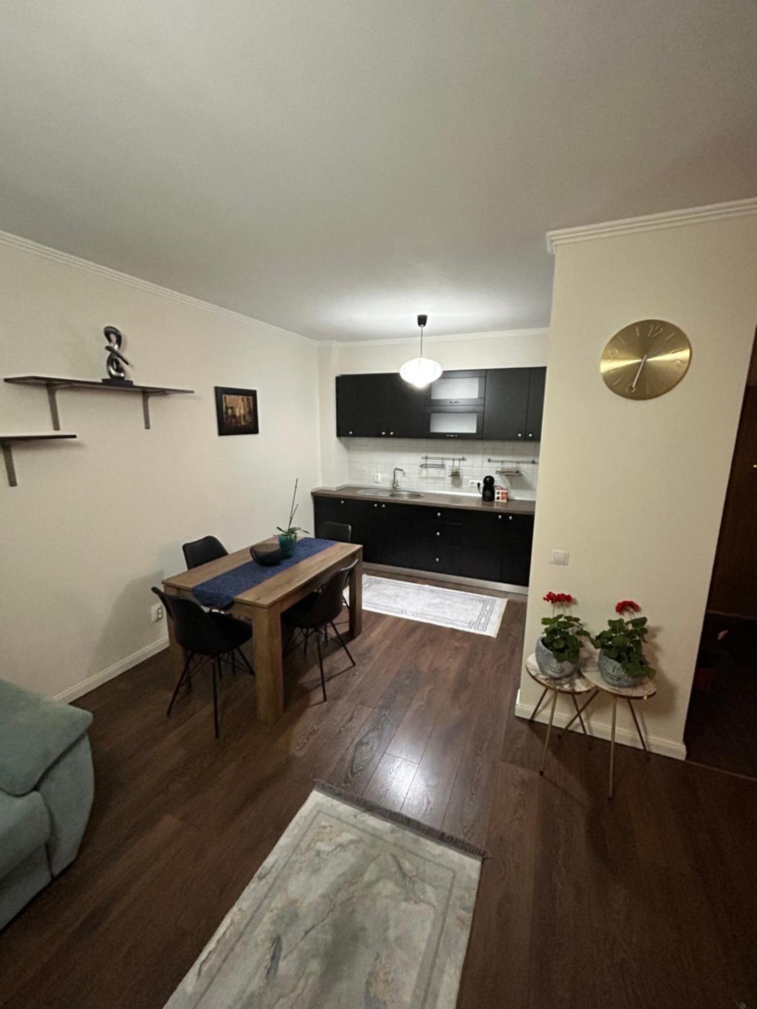 Bobo S House Apartment Cluj-Napoca Luaran gambar